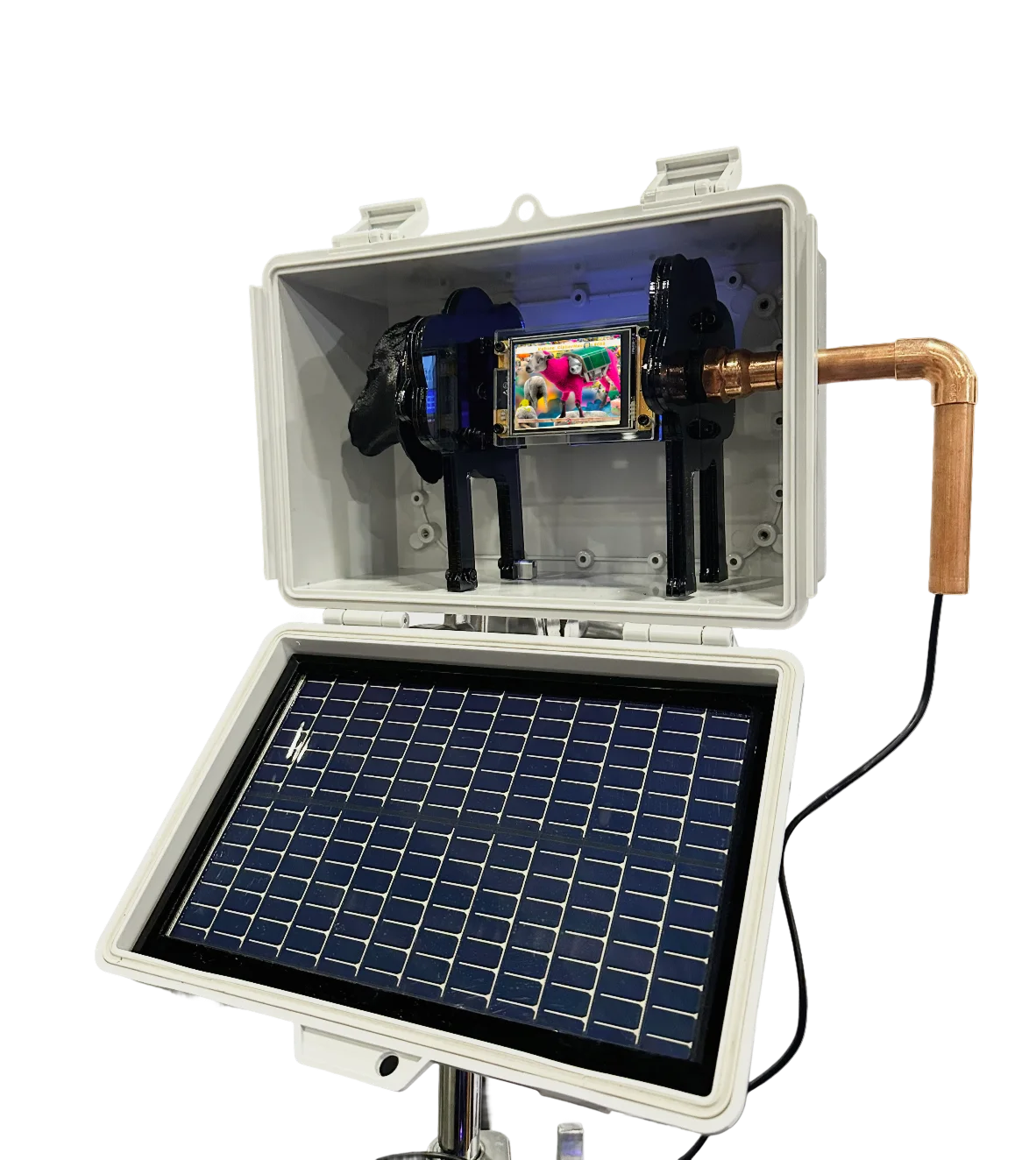 Lotto Black Sheep Dreams – Solar Edition